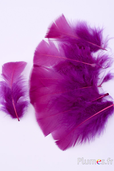 Dinde - 6-8 cm - aubergine